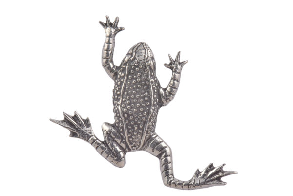 Frog CGHL0020