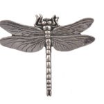 Dragonfly CGHL0046