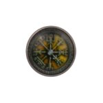 Viking Compass Lapel Pin